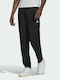 Adidas Entrada 22 Presentation Herren-Sweatpants Schwarz