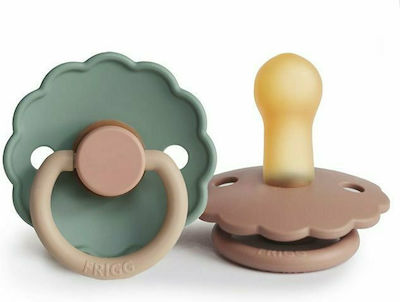 Frigg Pacifiers Rubber Daisy Rose Gold Willow for 6-18 months 2pcs