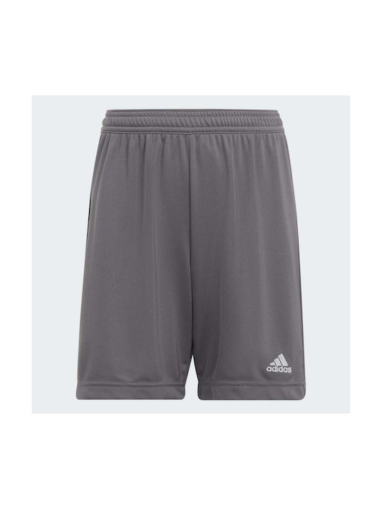 Adidas Kids Athletic Shorts/Bermuda Entrada 22 Gray