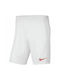 Nike Kids Athletic Shorts/Bermuda Park III White