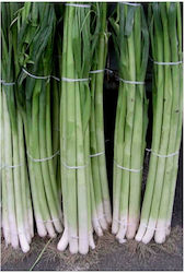 Leek Gigante de Bulgaria | 500gr