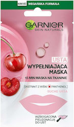Garnier Naturals Lips Replump Mască De Buze 5gr