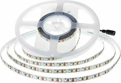 V-TAC LED Streifen Versorgung 24V mit Kaltweiß Licht Länge 5m und 126 LED pro Meter