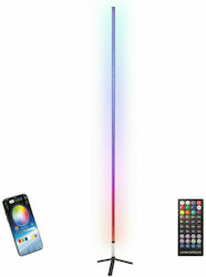 Ibiza Light LED Stehlampe H180cm. Schwarz
