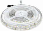 V-TAC Rezistentă la apă Bandă LED Alimentare 12V cu Lumină Alb Cald Lungime 5m și 60 LED-uri pe Metru SMD5050