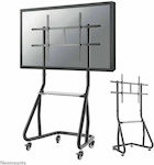 Neomounts NS-M3800BLACK TV Mount Floor Until 100" and 100kg