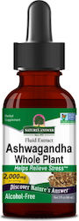 Nature's Answer Ashwagandha 2000mg 60ml Nature's Answer Ashwagandha 2000mg 60ml