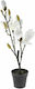 Iliadis Artificial Plant in Pot Magnolia White 53cm 1pcs