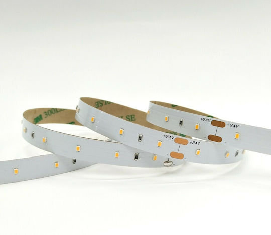 VK Lighting Ταινία LED 24V Θερμό Λευκό Φως 5m Τύπου SMD2216