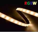 Cubalux Waterproof LED Strip Power Supply 24V RGBW Length 1m and 42 LEDs per Meter