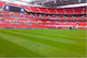 Evotris Samen Rasen Wembley Grün 250gr