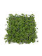 Supergreens Изкуствена панелна листва Папрат с детелина 50x50см