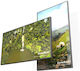 DynaScan DS Series Afișaj Public LCD 4K UHD 75" cu Player Media USB
