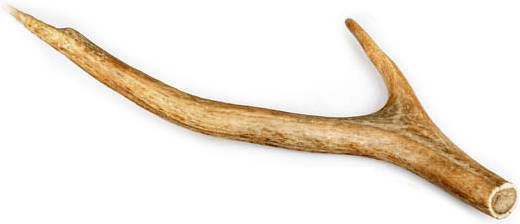 Celebrate Freshness Red Horn Dog Large Breeds from Deer 160gr