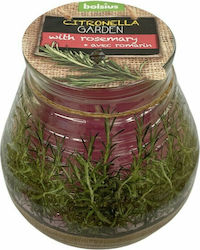 Bolsius Insect Repellent Candle
