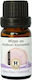 Herbstore Υγρό για Κουνούπια 10ml
