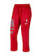 Pantaloni de Trening Roșu