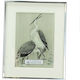 Zaros Metallic Photo Frame with Silver Frame and Engraving