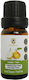 Herbstore Drops mit Aroma Birne 10ml