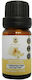 Herbstore Έλαιο Τροφίμων με Άρωμα Λευκή Σοκολάτα 10ml