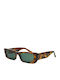 The Glass of Brixton Women's Sunglasses with Brown Tartaruga Plastic Frame