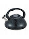 Maestro Maestro Rostfreier Stahl Teekessel Schwarz 2500ml