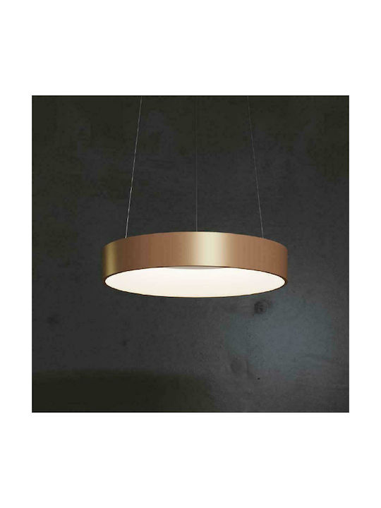 Fan Europe Pendant Light LED with Warm to Cool White Light Gold