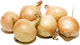 Stuttgart Onion Bulb 1kg