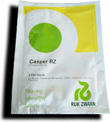 Rijk Zwaan Σπόροι Κουνουπιδιού Casper Rijk Zwaan Σπόροι Κουνουπιδιού Casper