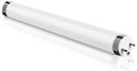 Fos me Fluorescent Lamp for Socket G13 with Shape T8 10W