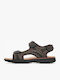 Spherica Men's Sandals Brown