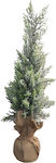 Zen Collection Christmas Decorative Snowy Tree 43cm Green