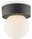Fan Europe Skittle Ceiling Mount Light Bathroom 15cm Black with Socket E27