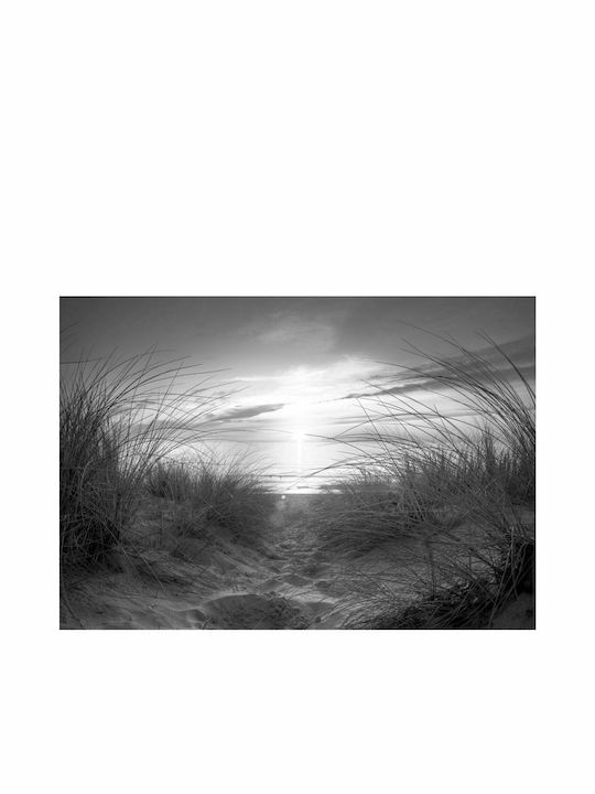 Fototapet de Perete 300x210cm Black White Tesatura Gri