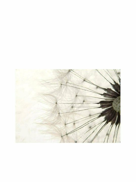 Fototapet de Perete 150x105cm White Dandelion Tesatura Albă