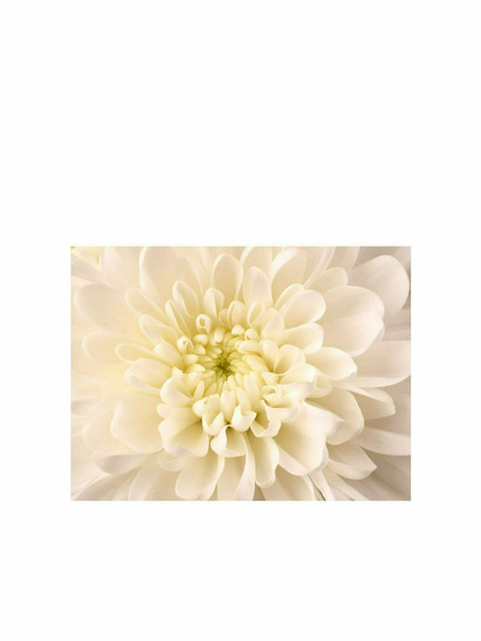 Fototapet de Perete 300x231cm White Dahlia Tesatura Albă