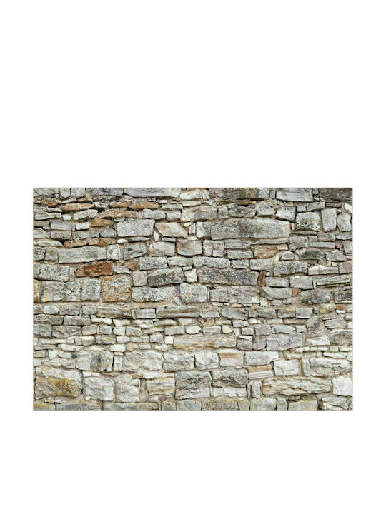 Autocolantă Fototapet de Perete 98x70cm Royal Wall Gri