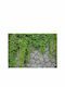 Fototapet de Perete 250x175cm Green Wall Tesatura Verde