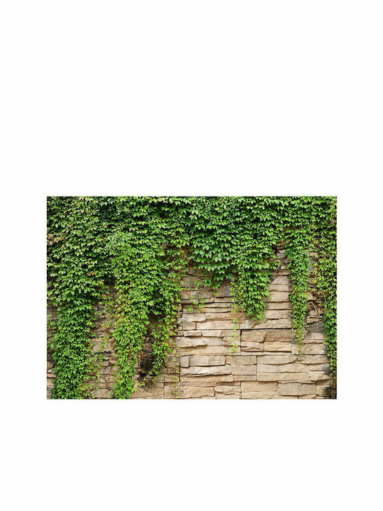 Fototapet de Perete 100x70cm Ivy Wall Tesatura