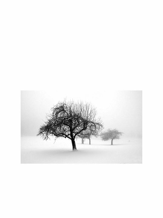 Fototapet de Perete 450x270cm Winter Trees Tesatura