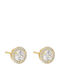 Michael Kors Premium Earrings made of Silver Gold Plated with Stones