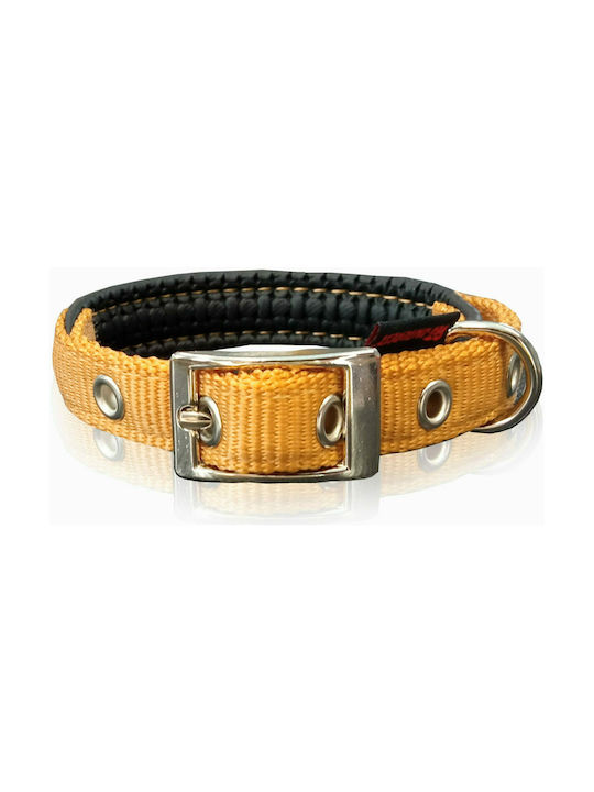 Pet Interest Neoprene Standard Dog Collar in Gold color XSmall 16mm x 35cm