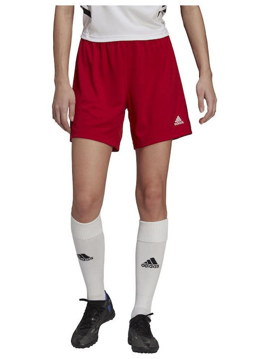 adidas Entrada 22 Șort Sportiv pentru Bărbați Burgundy
