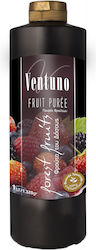 Ventuno Fruchtpürees Waldfrüchte für Cocktail & Granita 1300gr