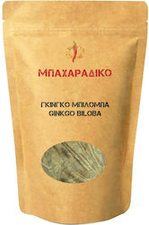 MPACHARADIKO Ginkgo Biloba 100gr 05573-100gr