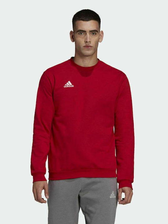 Adidas Entrada 22 Herren Sweatshirt Team Power Red 2
