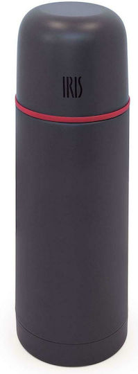 Iris Barcelona Termo Bottle Thermos Stainless Steel 350ml Gray with Cap-Cup
