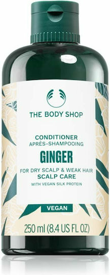 Ginger Conditioner Reconstruction/Nourishment for Dry Hair 250ml