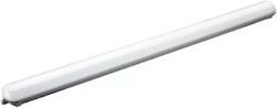 Solight Σκαφάκι με Ενσωματωμένο LED