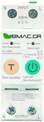 Zweipolig Allgemeine Verwendung Schienenumschalter WiFi 230V 63A